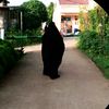 endahnovianti