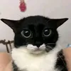 gumbodrop9