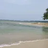 naidbiru