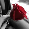 user9099980819019