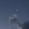 ᐢ.ˬ.ᐢ