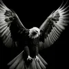 kalary_166