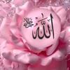 ali036346