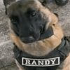 randy5ry