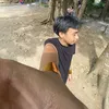 frankjamesarado