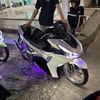abib_azza1