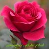 rai.maqsood.saaqi5
