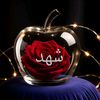 antergomaa5
