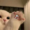 bunrieucua_25