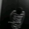 hashim_abbasi_x