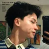 lhzmenstyle