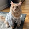 leothekittycat0