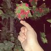 its._.amnah