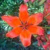 user210471226513