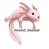 axolotl_besitzer