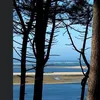 tetefrance