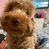 mikeymulhern89