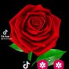haboon8382