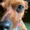 juliamary033