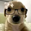 nguoikhongbietbuon_12
