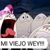 user1950323663