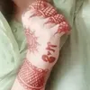 saimamuzmail