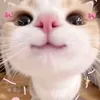 ann_ebss