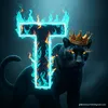 takrimahmed024