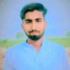 zaidali4019