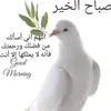 alialwalaiy4