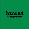 azalealovesosaa