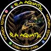 r.aaquatic