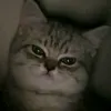 bolaaaaaaaaaaaaaa2