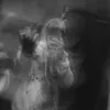 rxgueperformance
