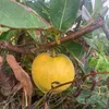 toandinh180784