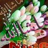 user8881460998368
