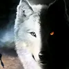 dark_hard_kron