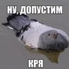 chepubelka228