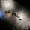 thyz249