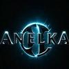 anelka939