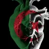 213_tahia_djazair