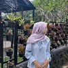 prinky.laa