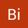 bicgi1
