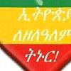 fikrteeshetu