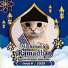 salmannabilwirawa