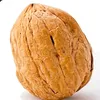 walnut_original