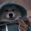 phat2nghan3