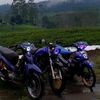 payeng1235
