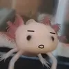 ほにゃら
