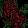 alexaisweird156